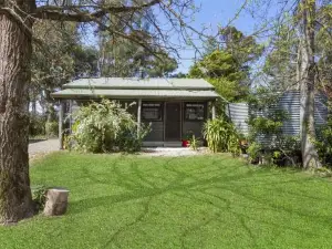 Blue Apple Lodge