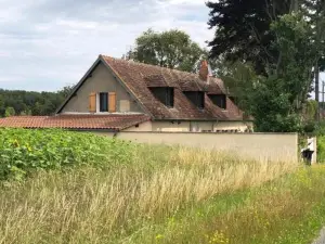 Quinta