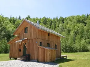 Chalet in Stadl an der Mur / Styria with Terrace