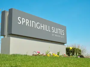 スプリングヒル スイーツ ダラス ルイスビル