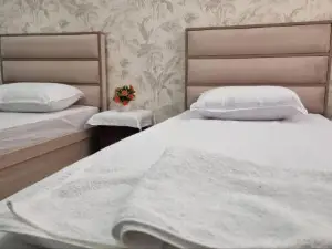 Апартаменты Bronin Homes 1