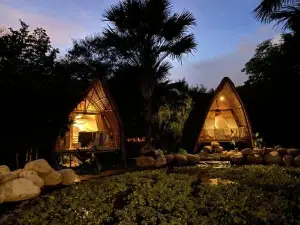 Seed Village