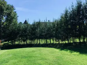 Summer In The Catskills !