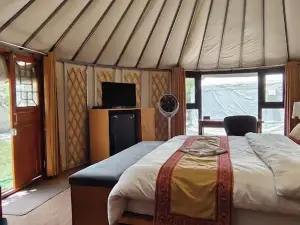 APEX萊烏特斯卡杜