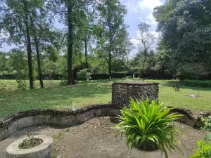 Homecation Manas View Jungle Resort