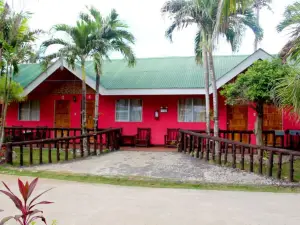 椰子樹林自然水療度假村