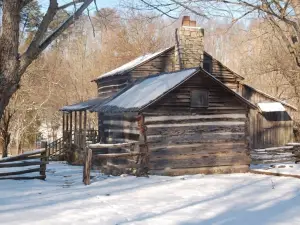 加特林堡阿拉斯加探險小屋飯店