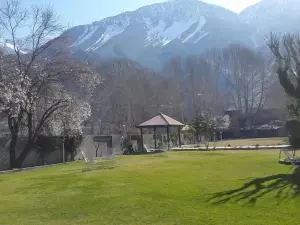 Tirch Mir View Chitral
