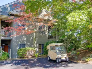 Burnsville Condo Screened Porch and Mountain Views!