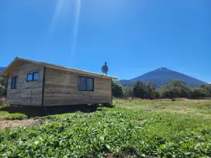 Cabañas P y R Los Canelos