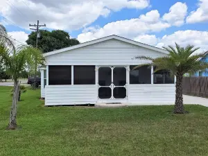 Bird watching paradise!