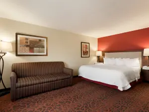 Hampton Inn Wichita Falls-Sikes Senter Mall