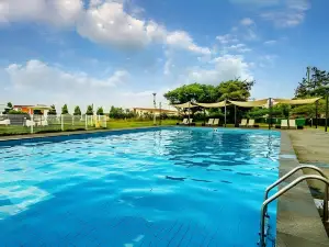 Pohang White 7 Dog Pool Villa