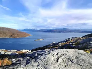 Loghouse apartment in arctic wonderland!