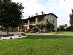 Le Rondini