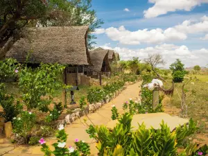 Kivuko Eco Camp