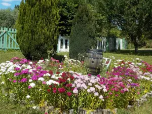 La Colline Aux Fustes
