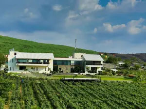 索瑪藤蔓村雷金塔度假村