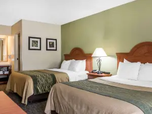 Comfort Inn Pine Grove I-81 Hershey Area
