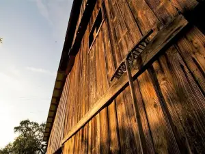 Green Inn Homestead with Sauna CXL