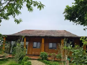 ByVe Garden