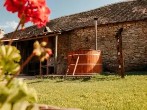 Casa pe Valea Hartibaciului(Bărcuț)