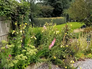 Blossom Hill Bed and Breakfast