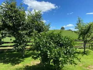 Rural Retreat