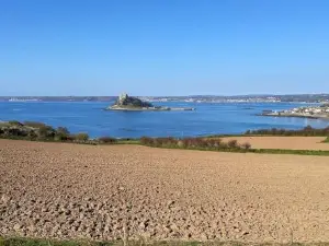Lovely 1 Bed Flat in Victorian House 300m Seafront
