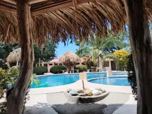 Bioluminiscencia Hostel Tours - South