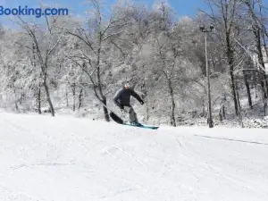 Seven Springs 3 Bedroom Standard Condo with Private Deck Condo