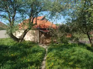 Birdsong Cottage - Peaceful Country Retreat