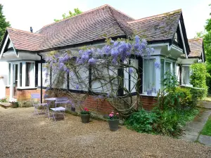 Pinewood Cottage Self Catering Apartments and Studio Apartments