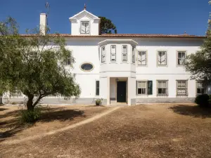 Casa de Mogofores
