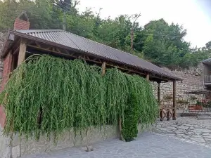 Green Garden