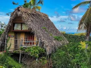 エコ カサ アルガナ