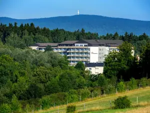 Hotel Alexandersbad