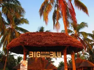 Butiama Marine Camp