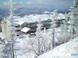 301 D Summit Dr. , Snowshoe Mountains, WV 26209