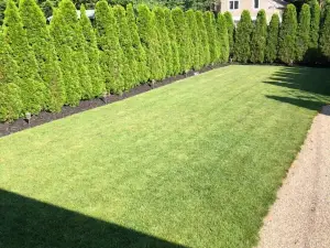 Modern Lakehouse Retreat with Direct Lake Access by CozySuites