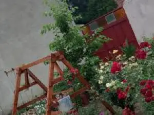 Apartman Ljiljana Bela Crkva