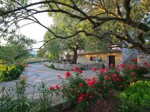 Apartman Baredine
