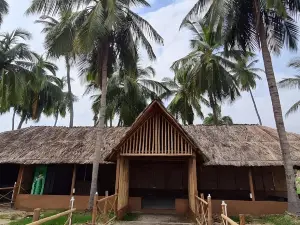 Coconut Tree Guest House
