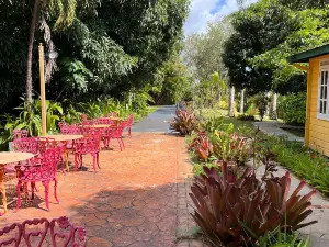 Oasis Hotel