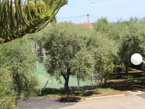 Chambres d'hôtes le Clos des Oliviers