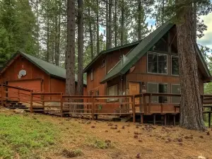 Woodland Escape - Cute Little Cabin in the Woods!