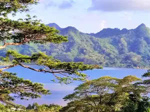 Huahine - Tipanier House