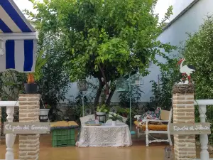 El Patio del Limonero