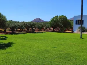 Fotini Apartments