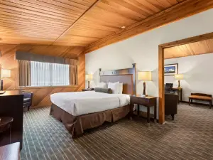 Best Western Plus Tree House